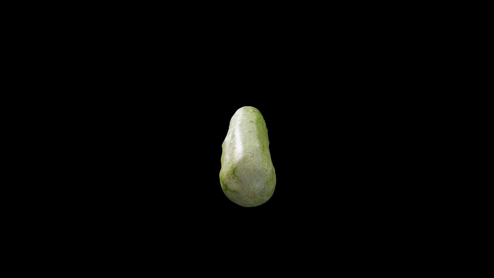 Anydrafts Cucumis sativus 06 Low-poly 3D model_5