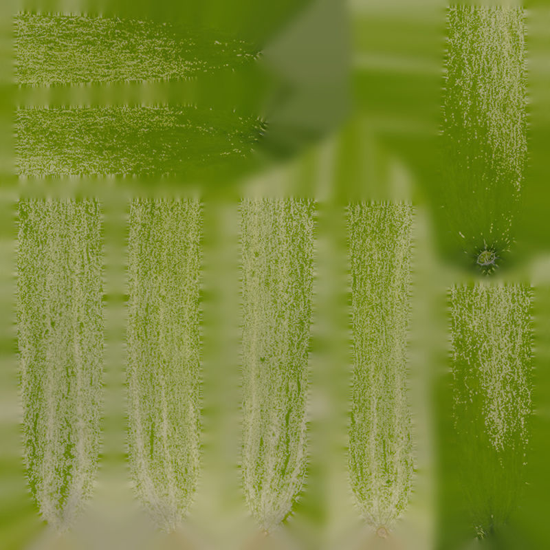 Anydrafts Cucumis sativus 06 Low-poly 3D model_1