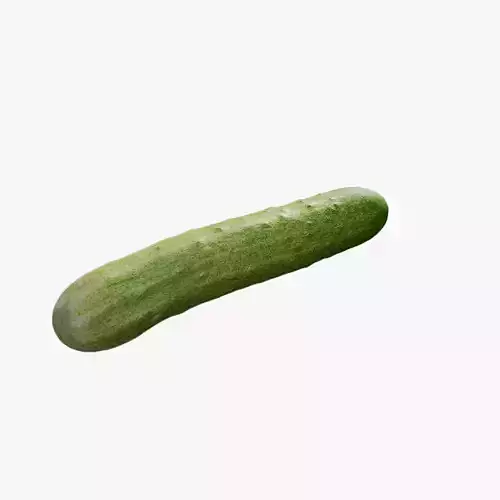 Anydrafts Cucumis sativus 06 Low-poly 3D model