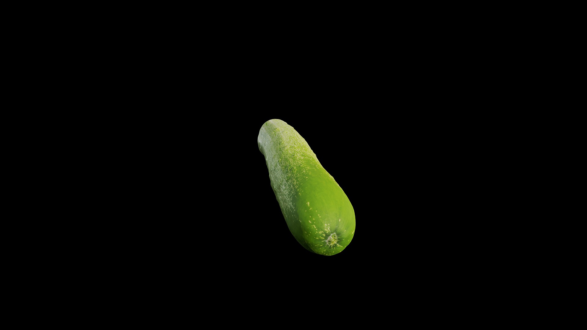 Anydrafts Cucumis sativus 06 Low-poly 3D model_8