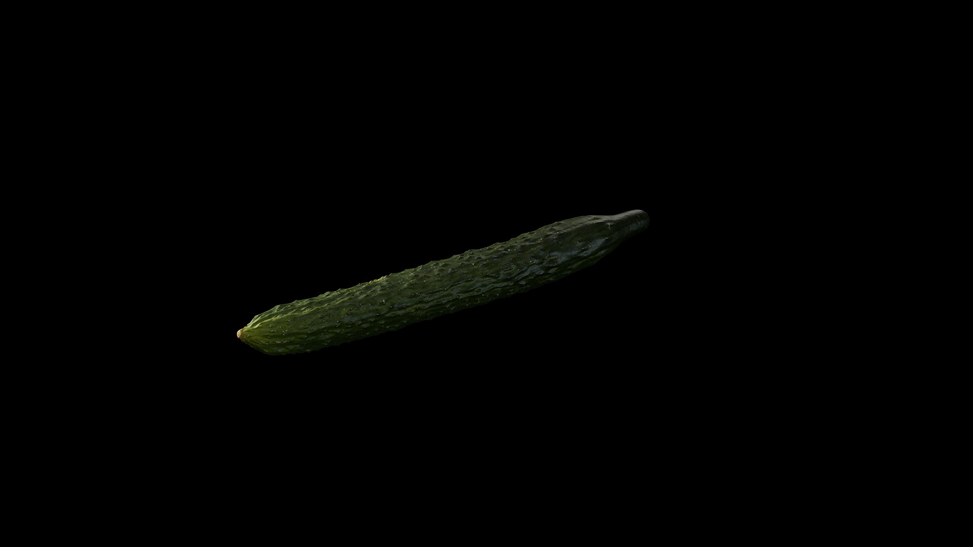 Anydrafts Cucumis sativus 08 Low-poly 3D model_2
