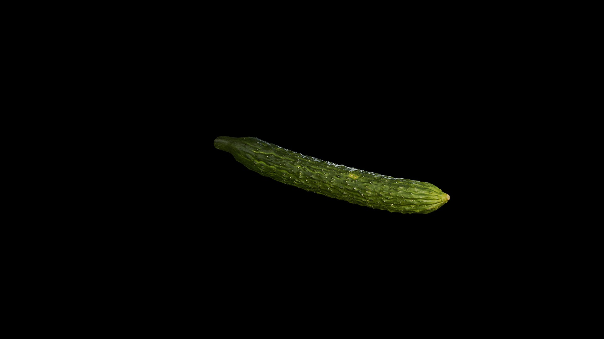 Anydrafts Cucumis sativus 08 Low-poly 3D model_7