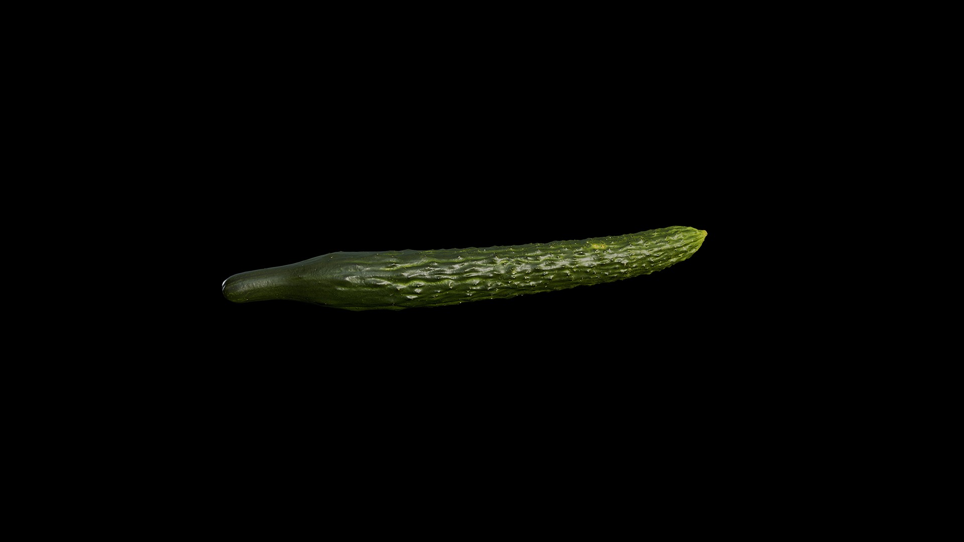 Anydrafts Cucumis sativus 08 Low-poly 3D model_8
