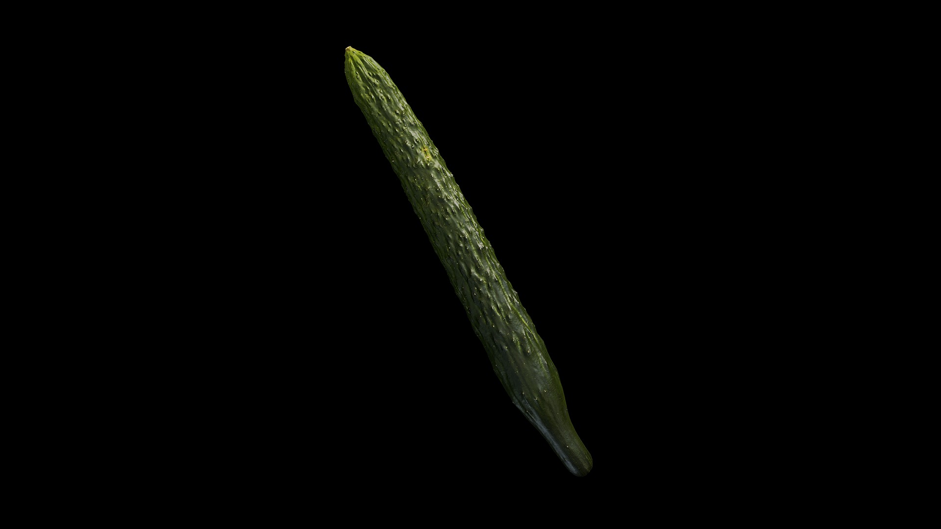 Anydrafts Cucumis sativus 08 Low-poly 3D model_4