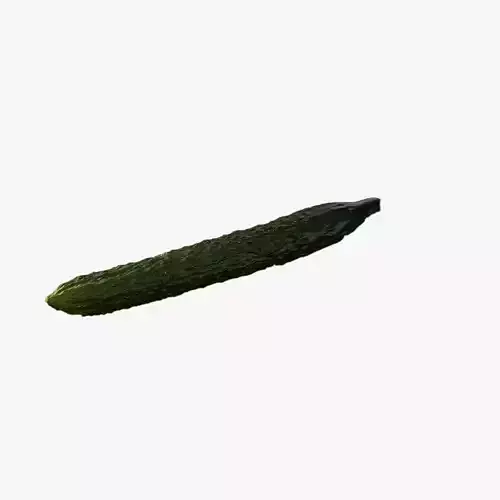 Anydrafts Cucumis sativus 08 Low-poly 3D model