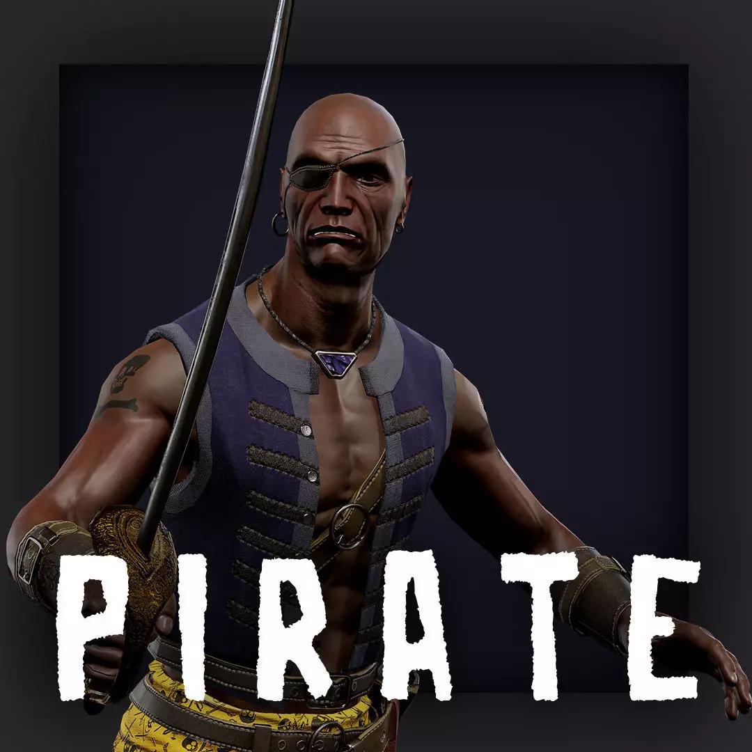 PIRATE R4 Low-poly 3D model_0