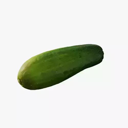 Anydrafts Cucumis sativus 09 Low-poly 3D model