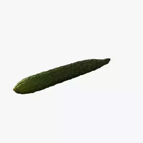 Anydrafts Cucumis sativus 10 Low-poly 3D model