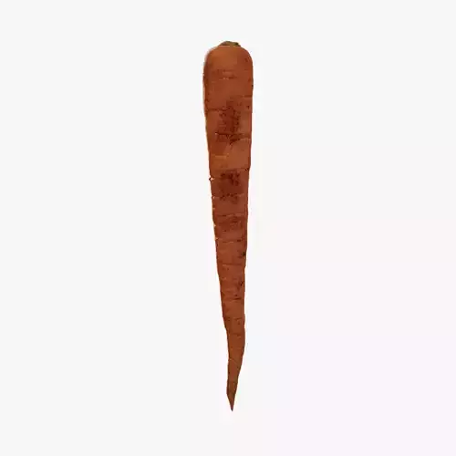 Anydrafts Daucus carota sativus 02 Low-poly 3D model