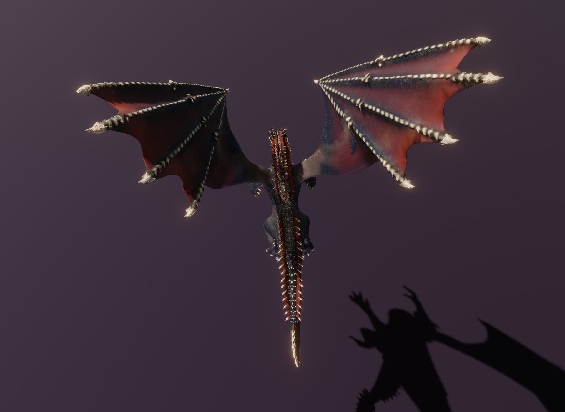 Realistic Animated Dragons 3d Model Pack Low-poly 3D model_28