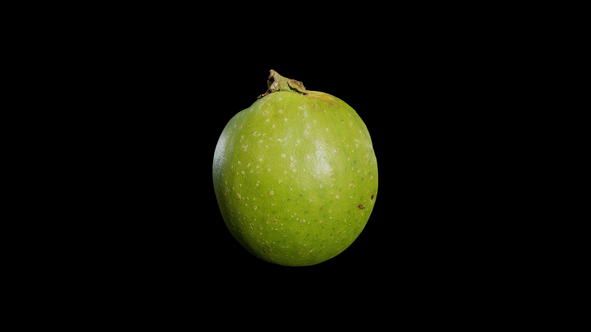 Anydrafts Juglans 01 Low-poly 3D model_8