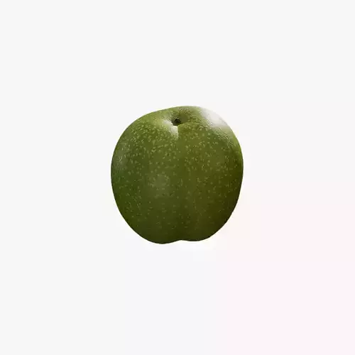 Anydrafts Juglans 02