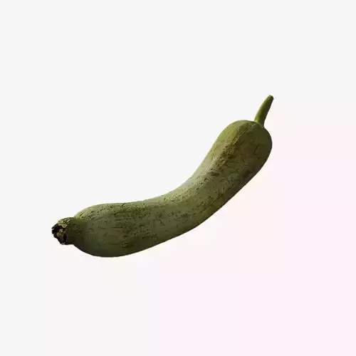 Anydrafts Luffa aegyptiaca 01