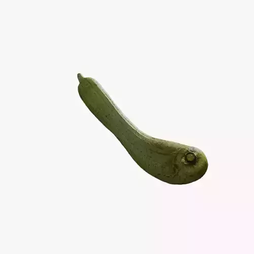 Anydrafts Luffa aegyptiaca 02