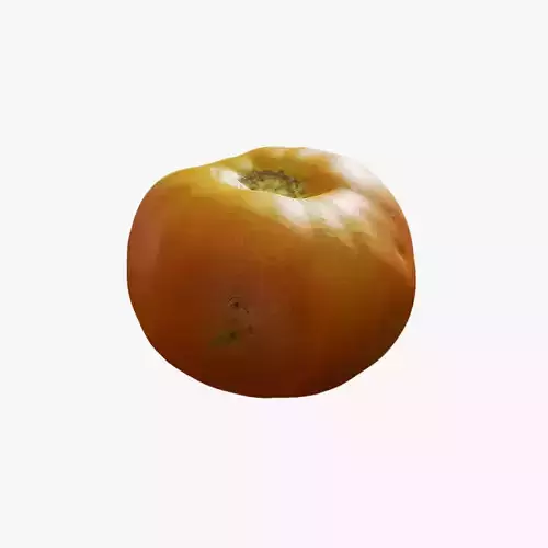 Anydrafts Lycopersicon esculentum 02