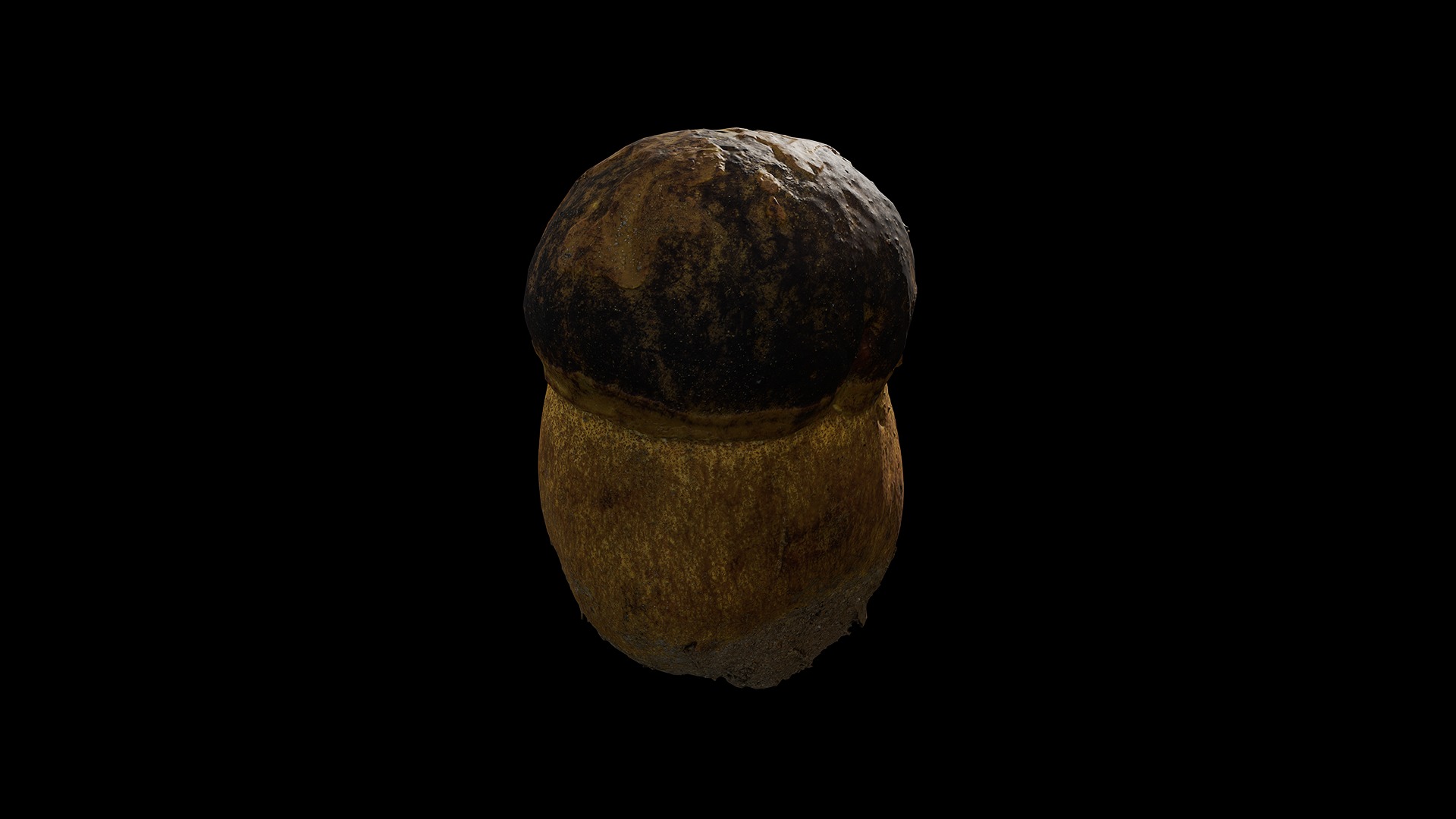 Anydrafts Mushroom 03 Low-poly 3D model_5