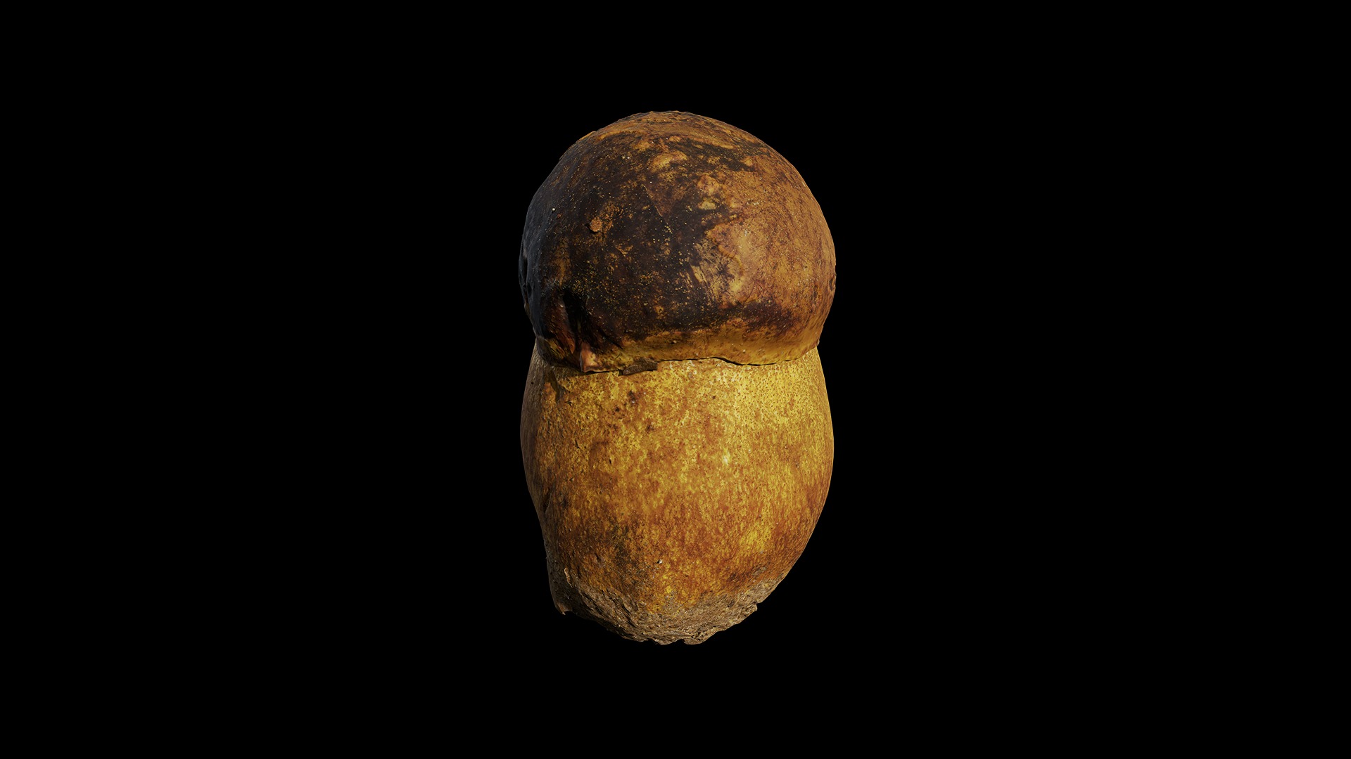 Anydrafts Mushroom 03 Low-poly 3D model_8