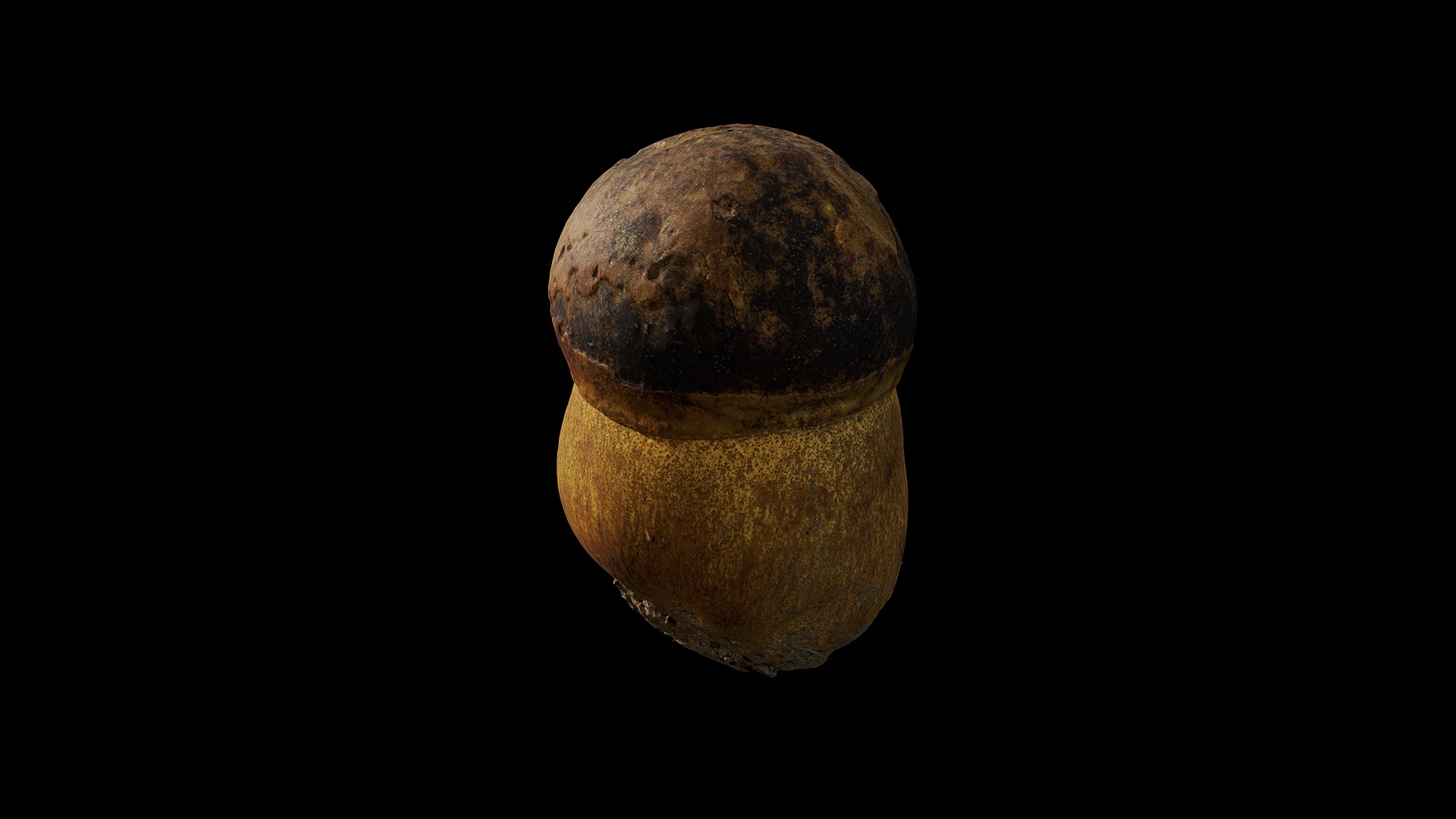Anydrafts Mushroom 03 Low-poly 3D model_2