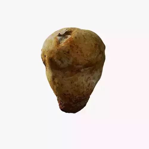 Anydrafts Mushroom 08