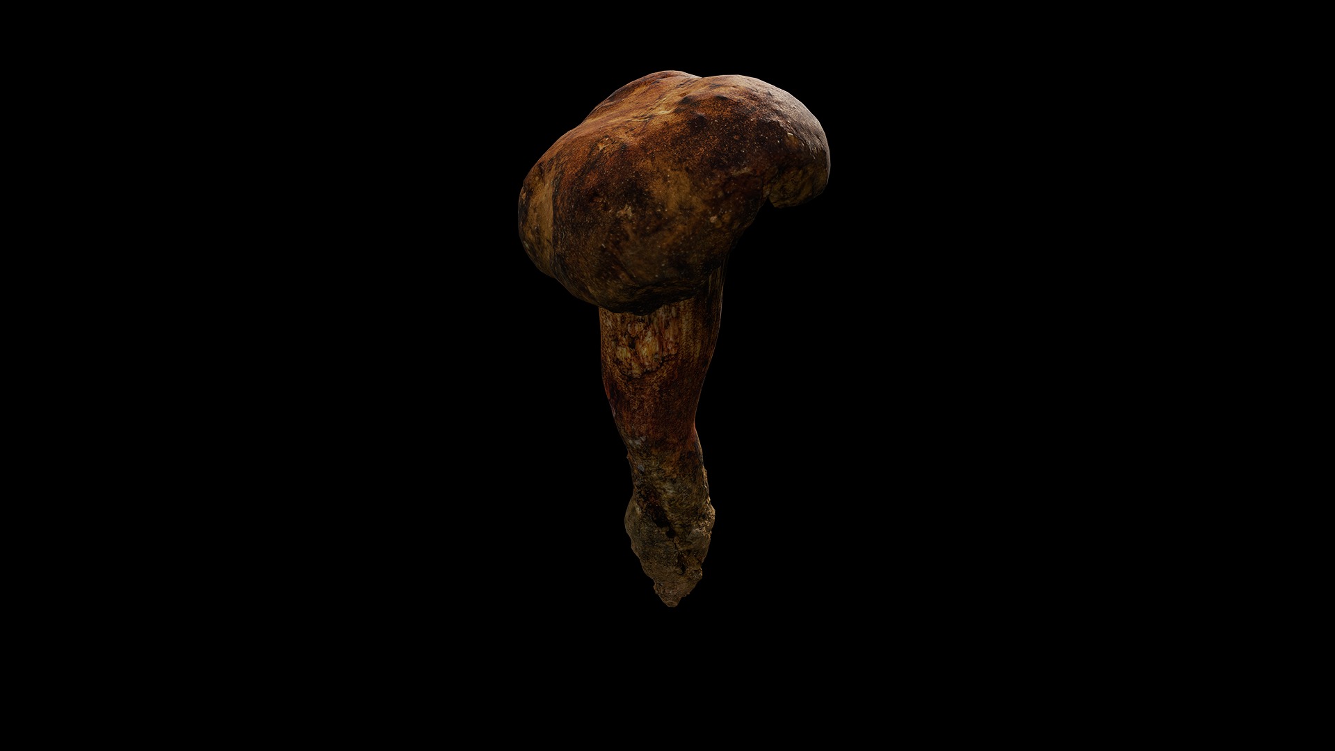 Anydrafts Mushroom 09 Low-poly 3D model_5