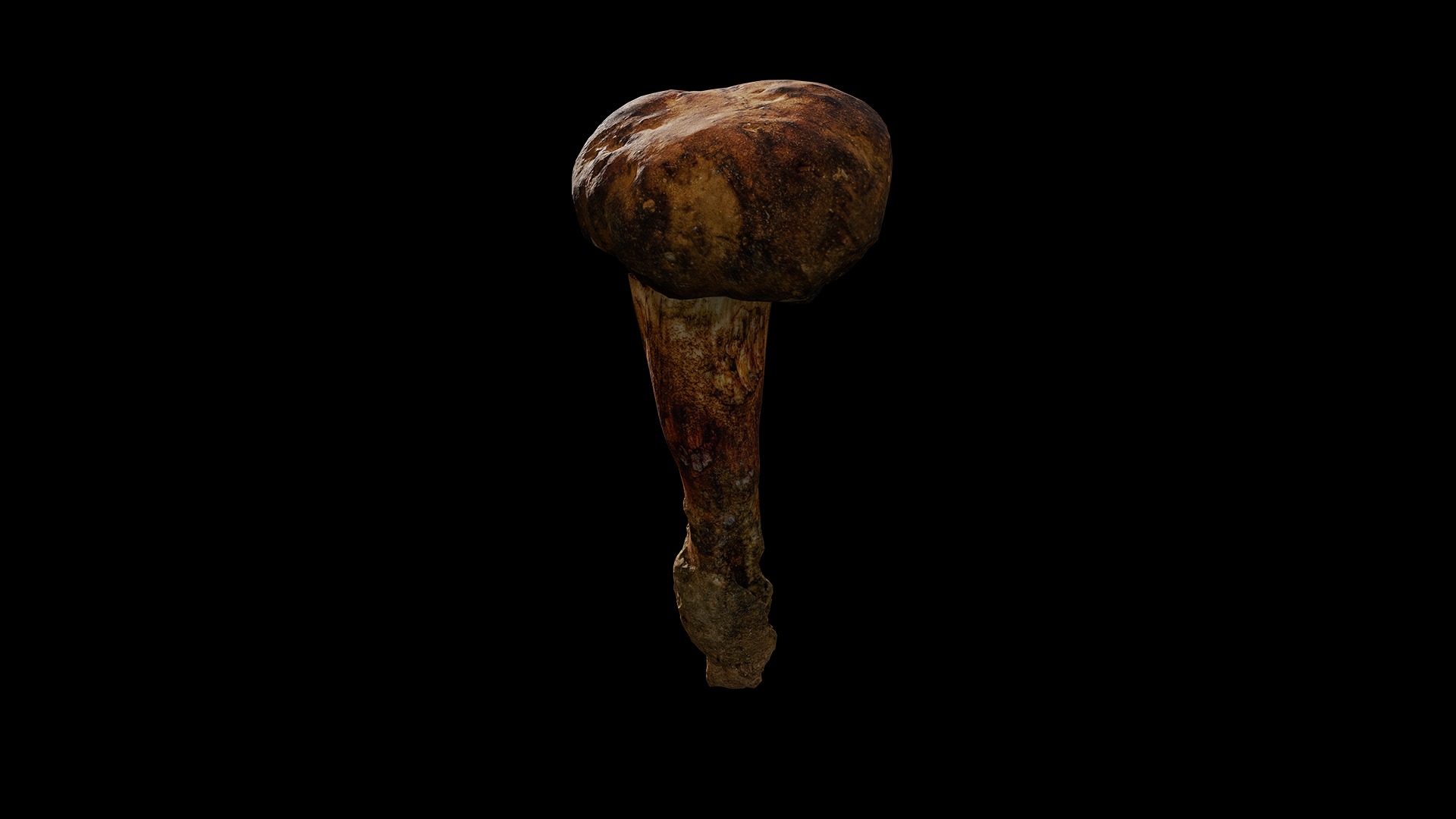 Anydrafts Mushroom 09 Low-poly 3D model_2