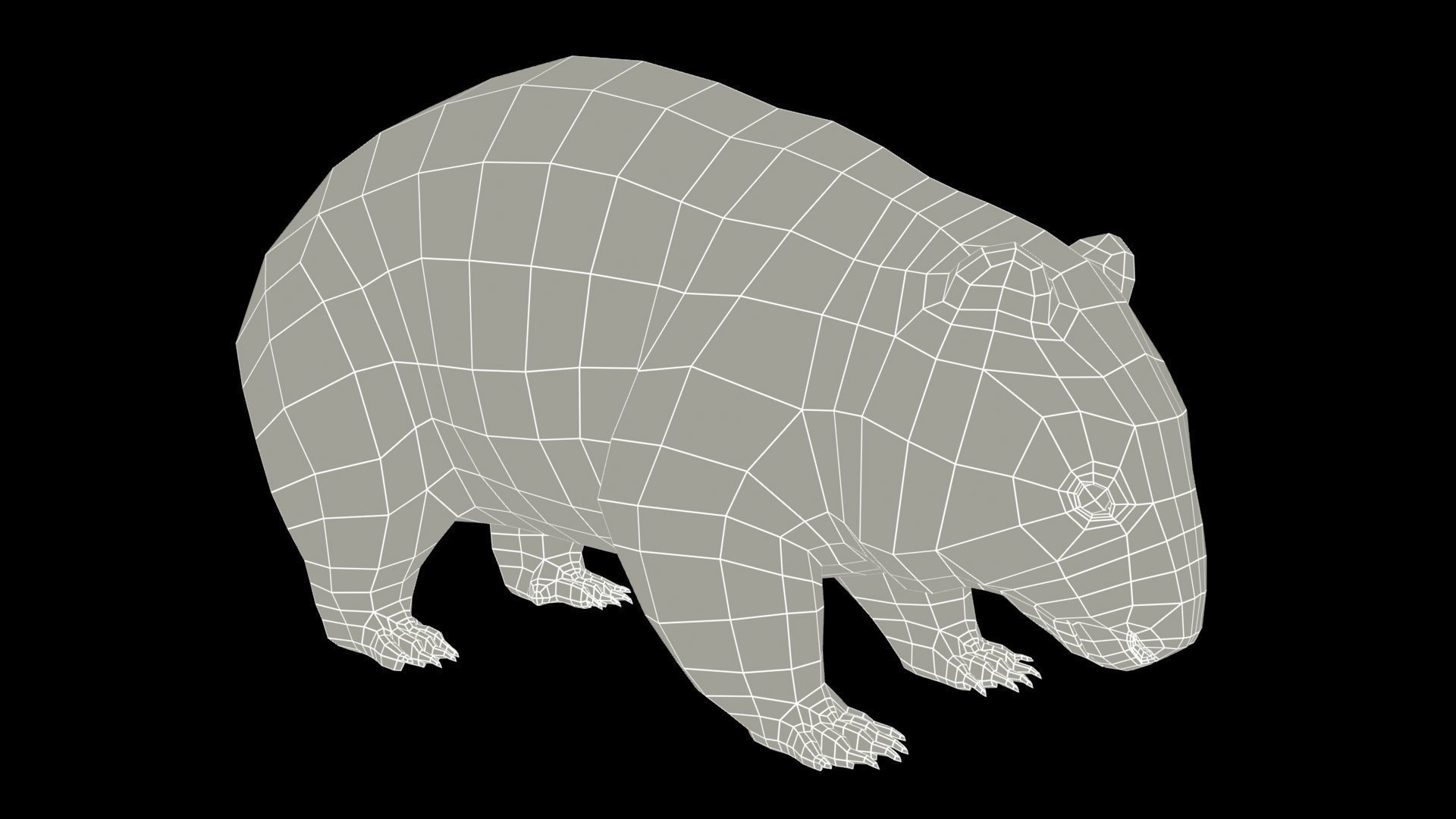 Wombat Low-poly 3D model_9