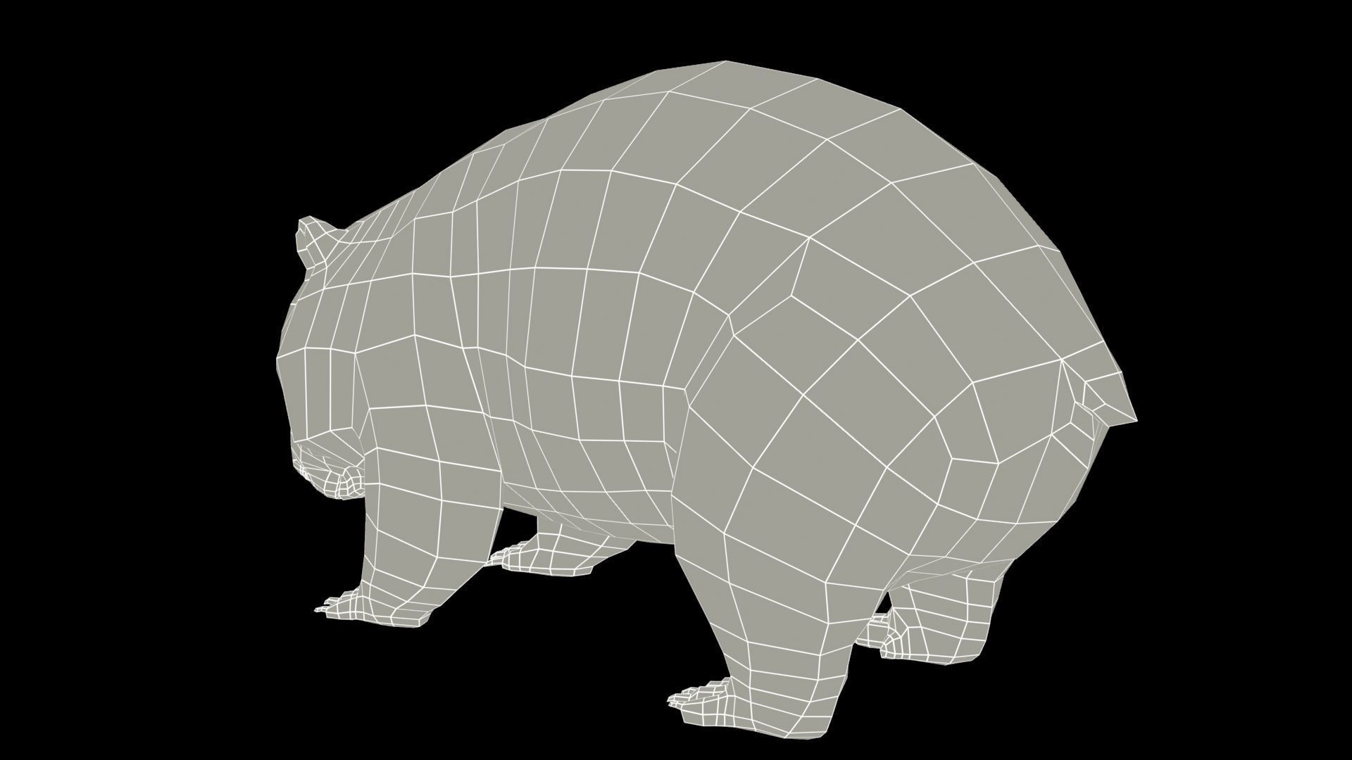 Wombat Low-poly 3D model_10