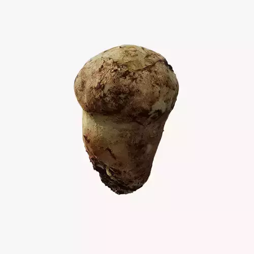 Anydrafts Mushroom 13