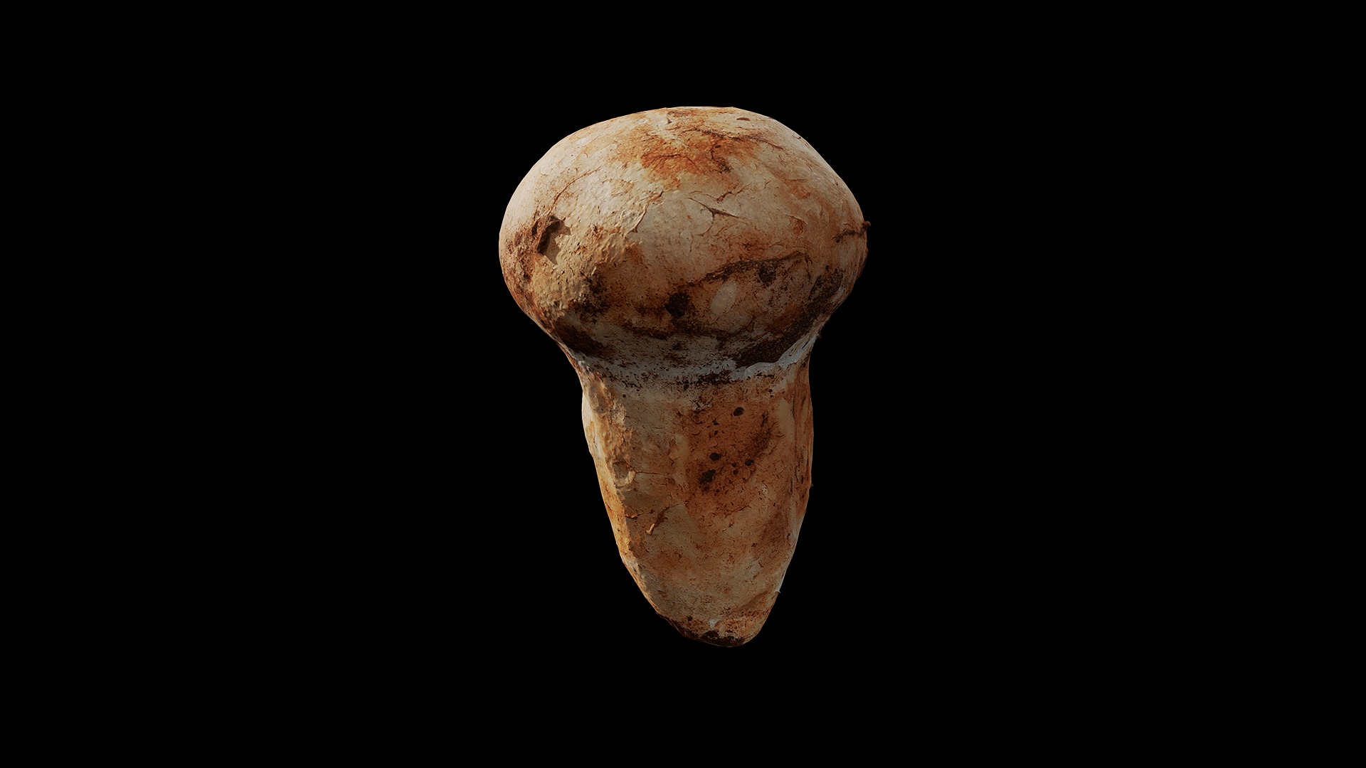 Anydrafts Mushroom 15 Low-poly 3D model_6
