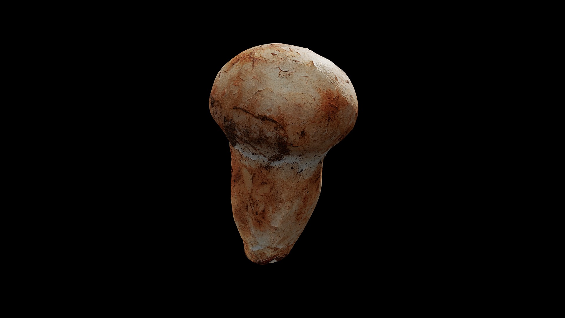 Anydrafts Mushroom 15 Low-poly 3D model_5