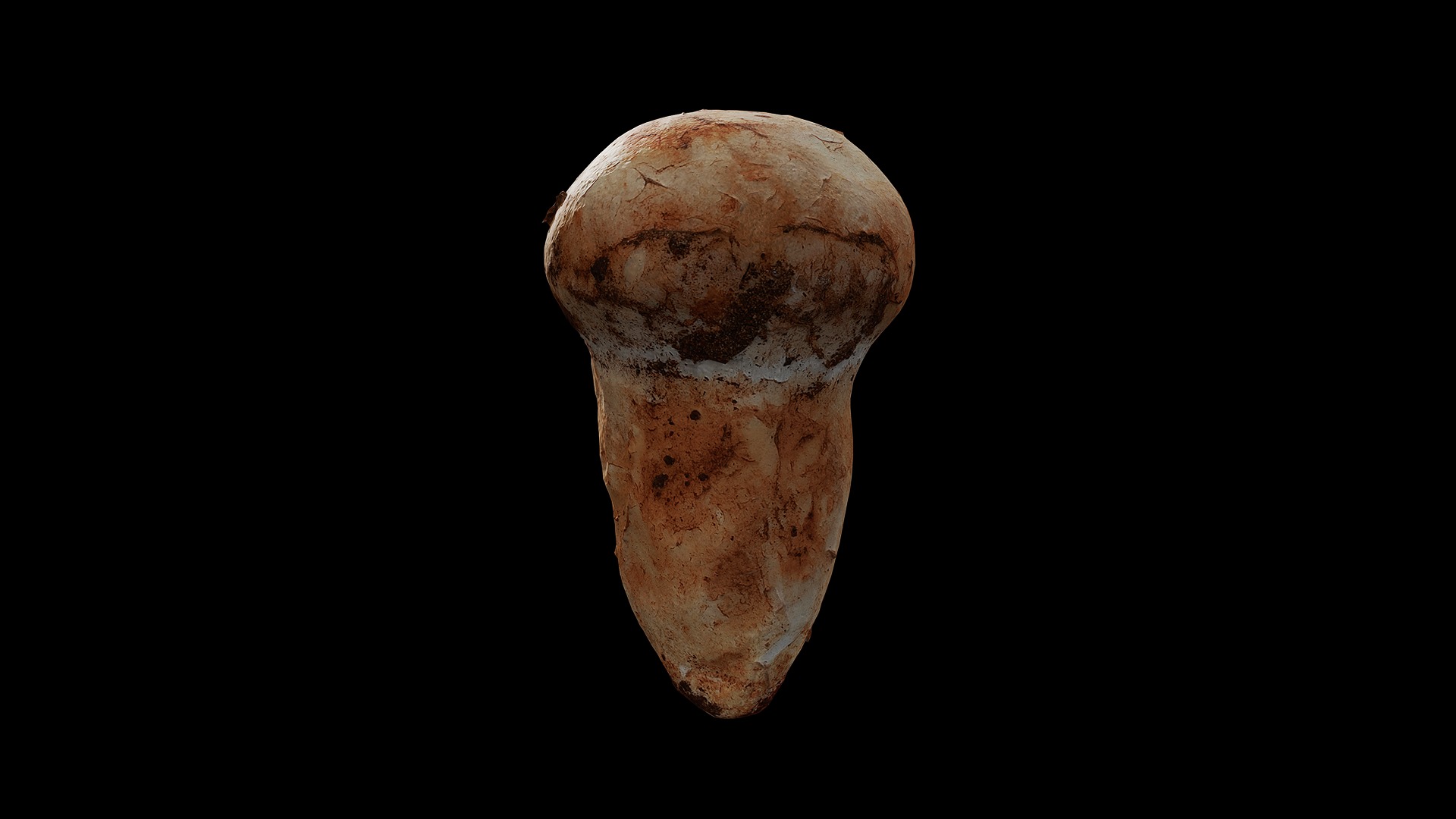 Anydrafts Mushroom 15 Low-poly 3D model_2
