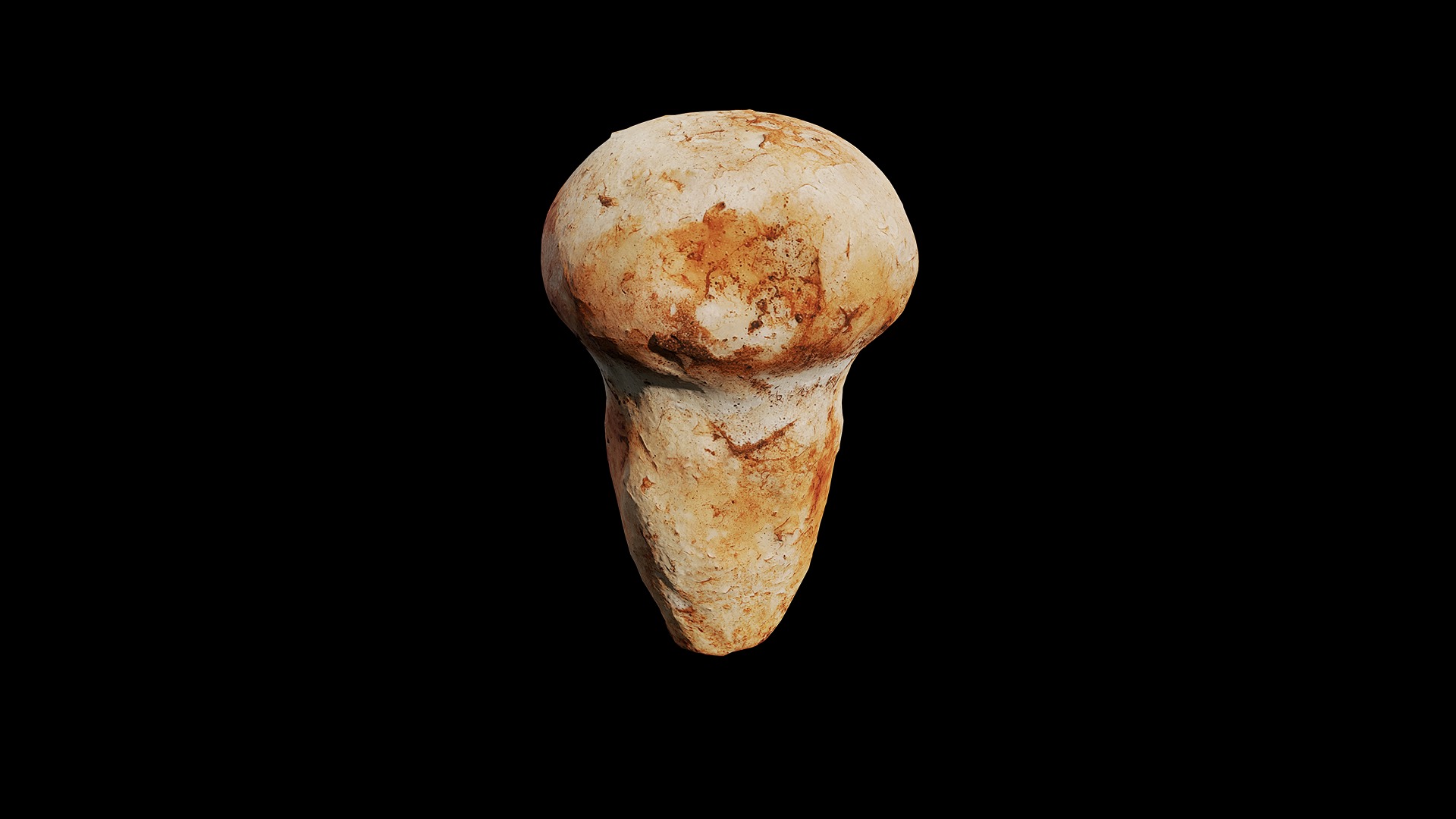 Anydrafts Mushroom 15 Low-poly 3D model_8