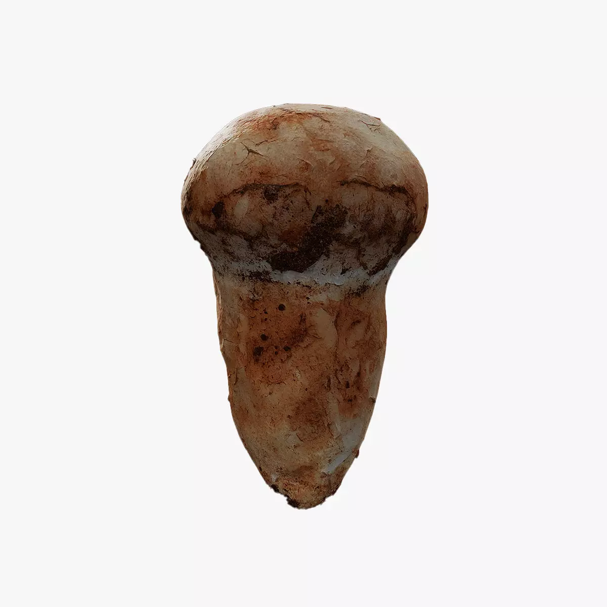 Anydrafts Mushroom 15 Low-poly 3D model_0