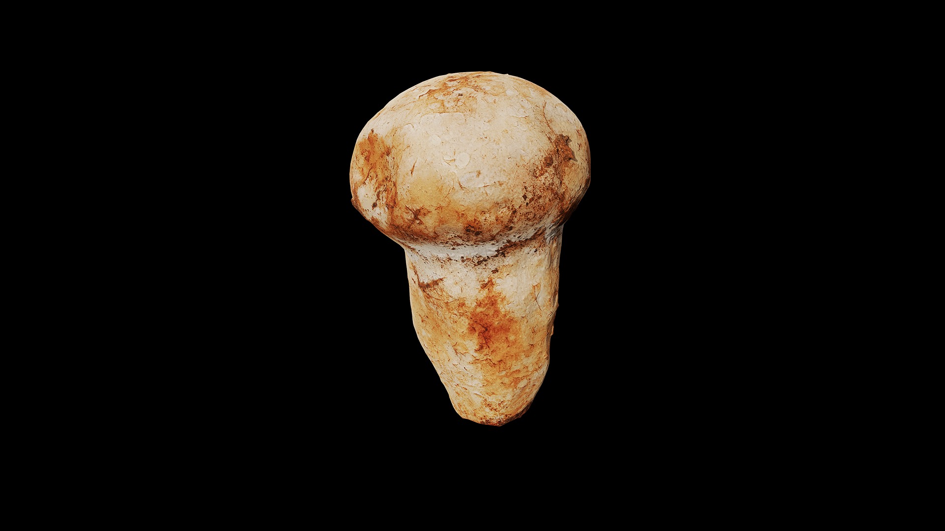 Anydrafts Mushroom 15 Low-poly 3D model_7