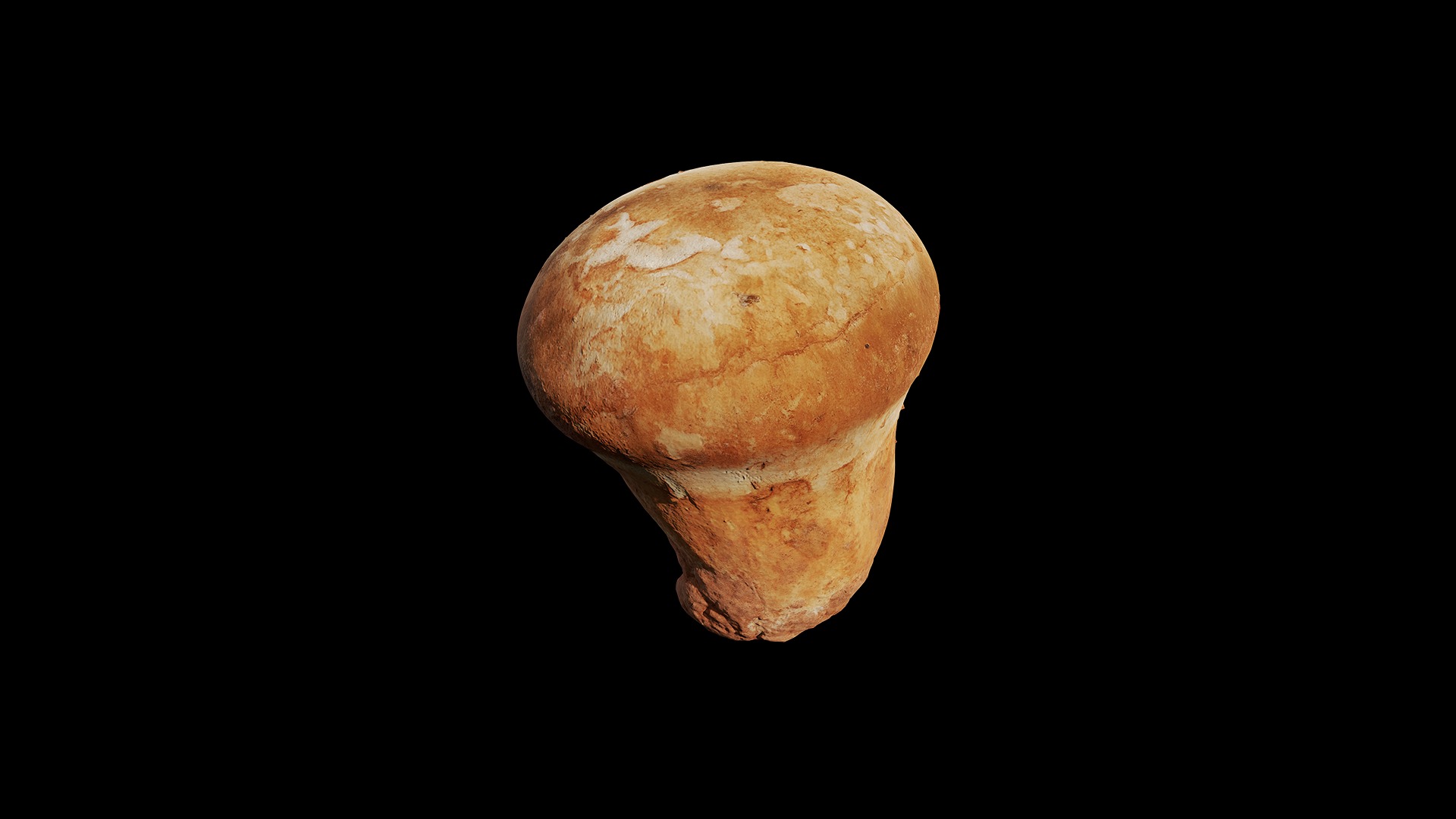 Anydrafts Mushroom 20 Low-poly 3D model_8