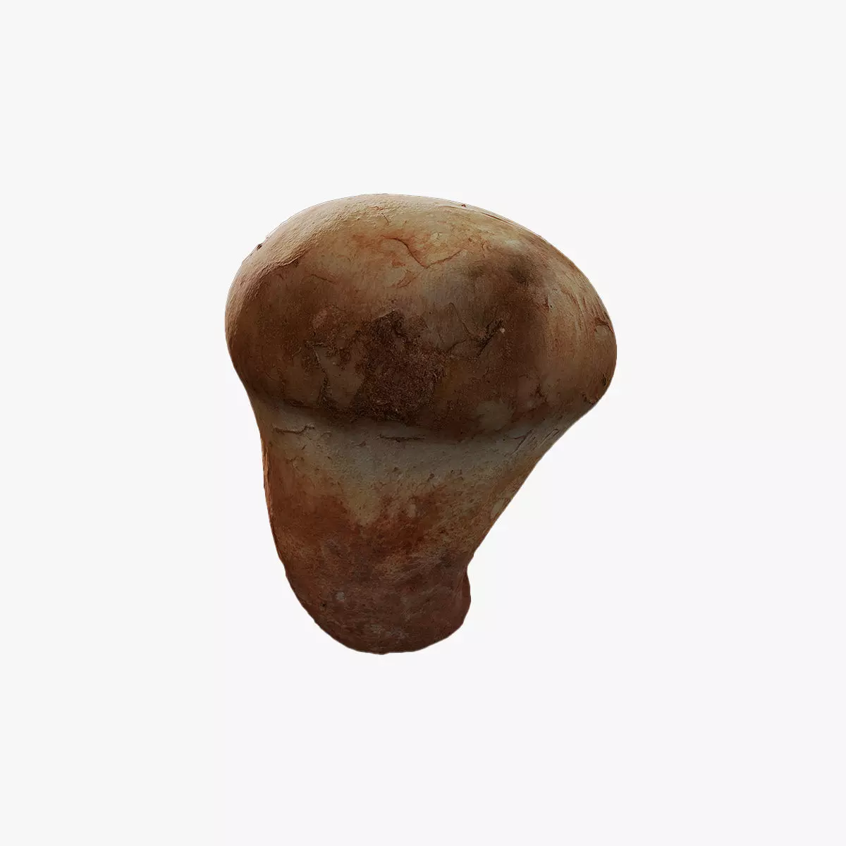 Anydrafts Mushroom 20 Low-poly 3D model_0