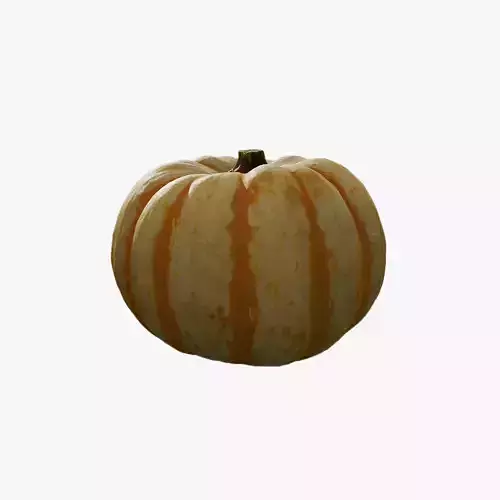 Anydrafts Pumpkin 07