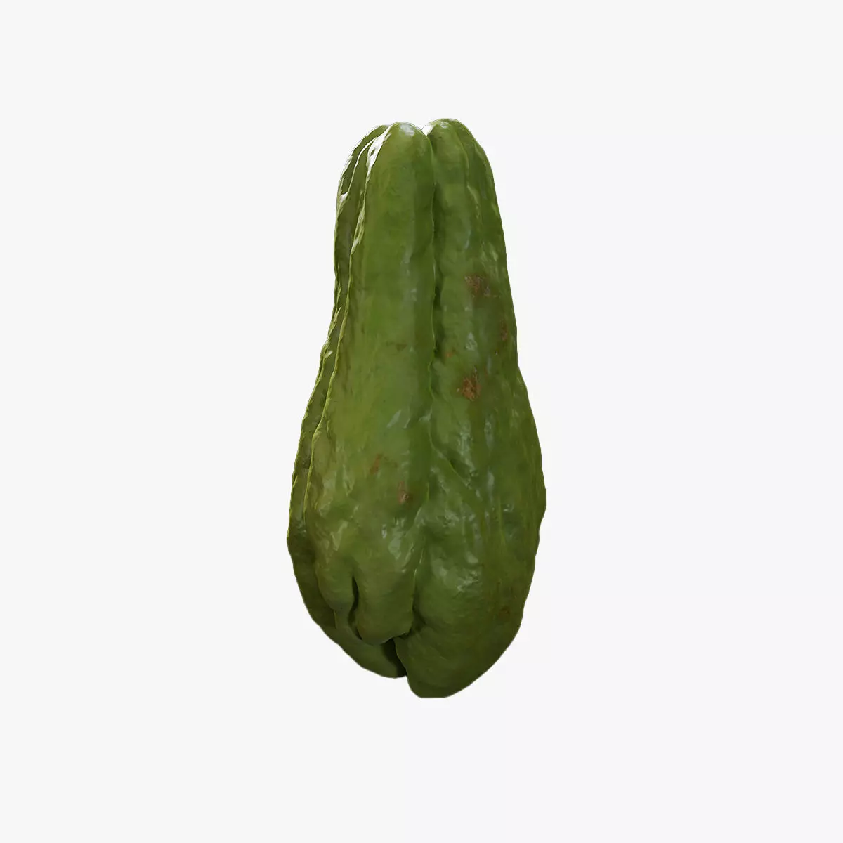 Anydrafts Sechium edule 03 Low-poly 3D model_0