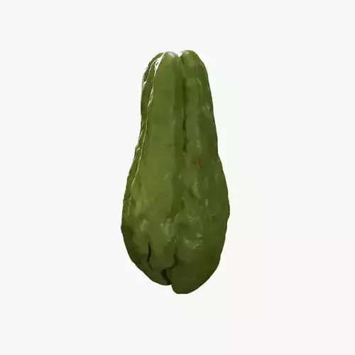 Anydrafts Sechium edule 03