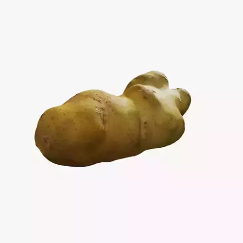 Anydrafts Solanum tuberosum 03