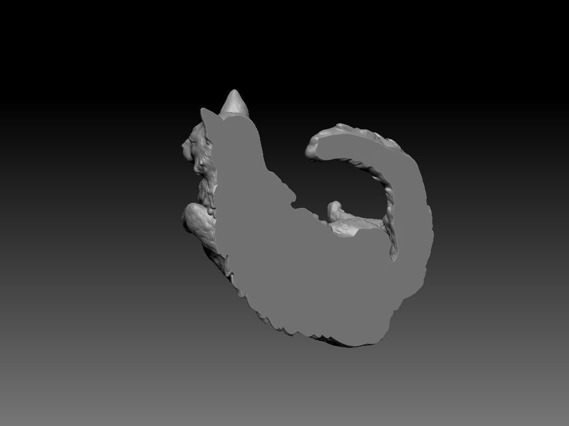 Sleeping Cat 3D print model_2