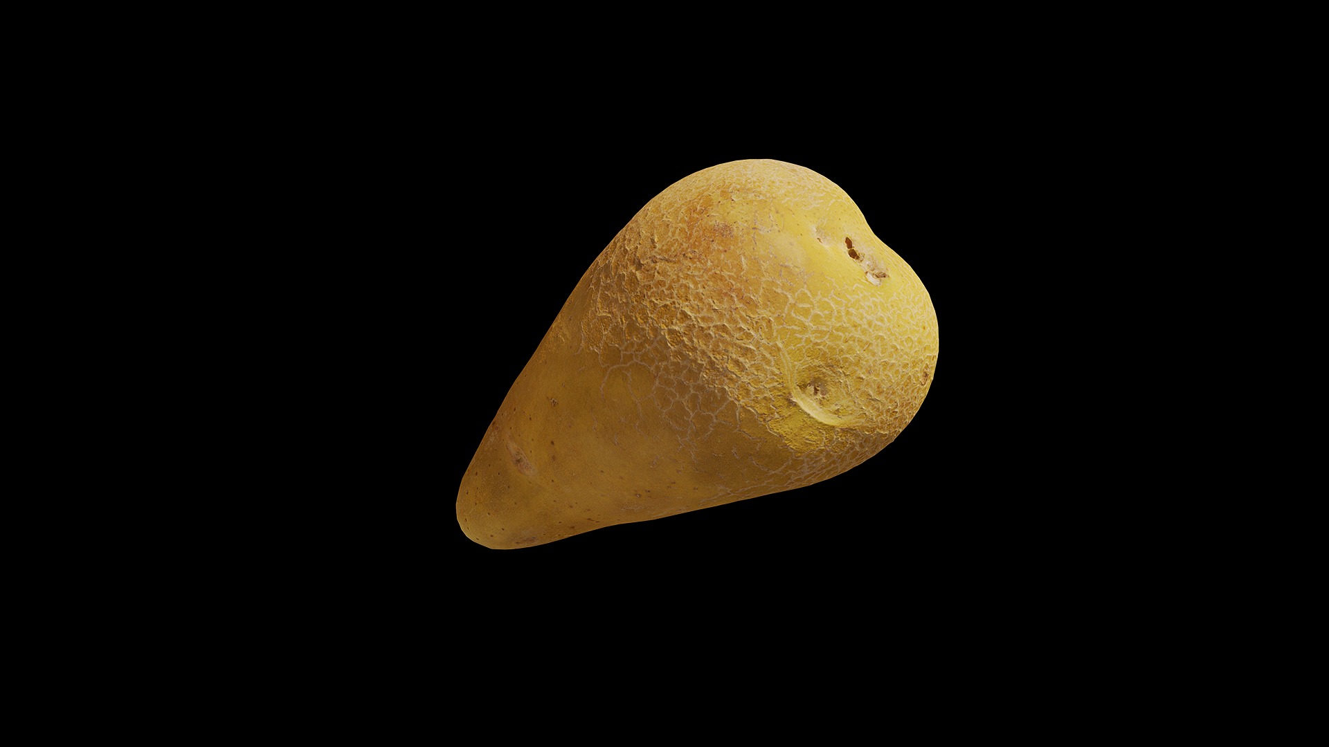 Anydrafts Solanum tuberosum 04 Low-poly 3D model_4