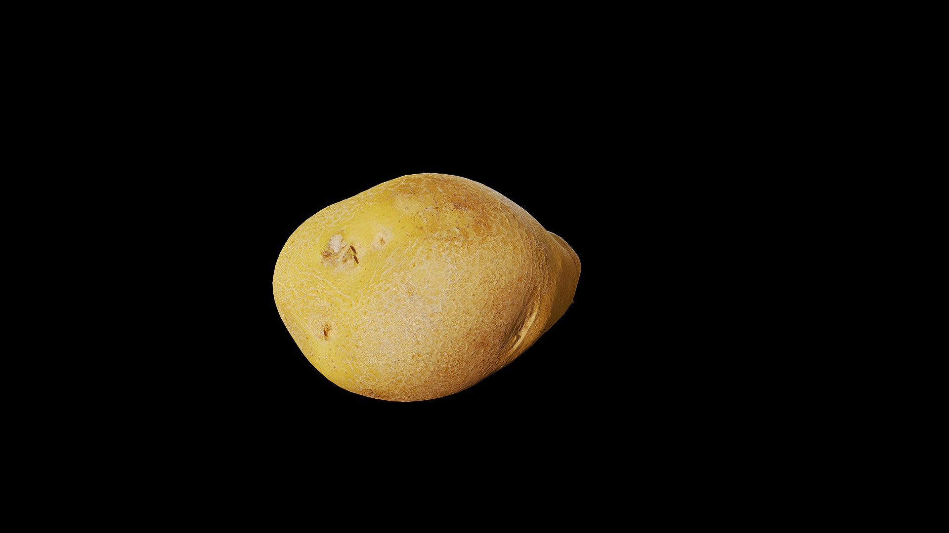 Anydrafts Solanum tuberosum 04 Low-poly 3D model_7