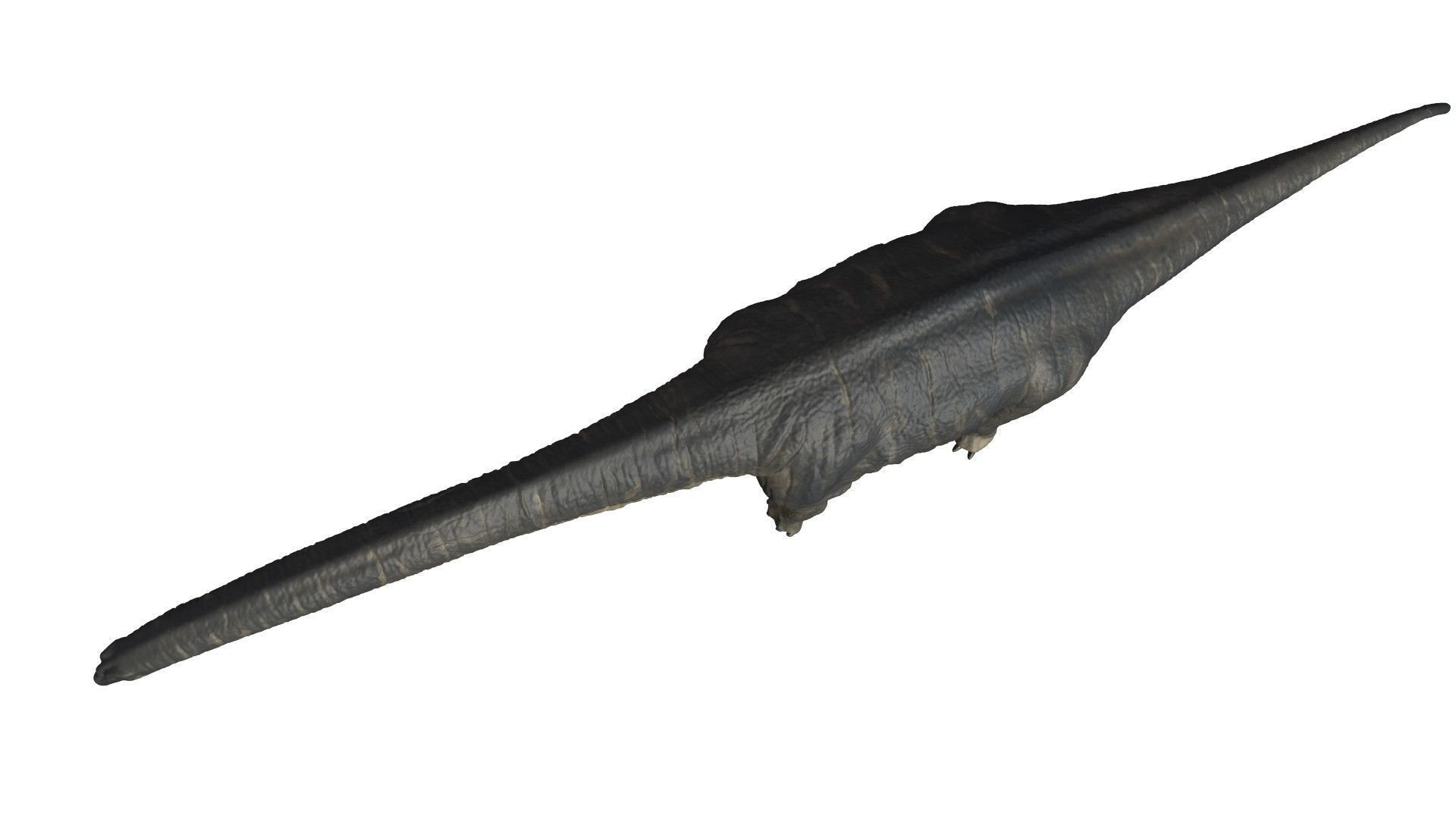 Titanosaurus Giant Lizard 3D model_3