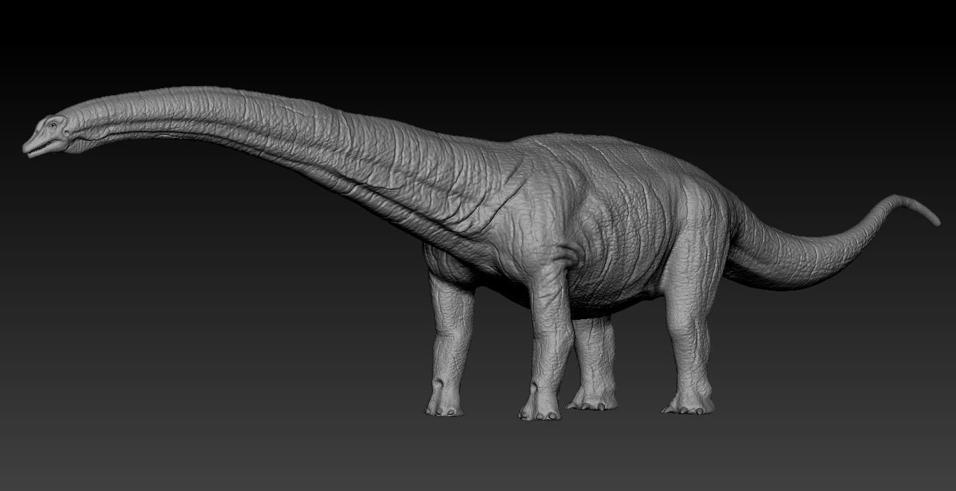 Titanosaurus Giant Lizard 3D model_8