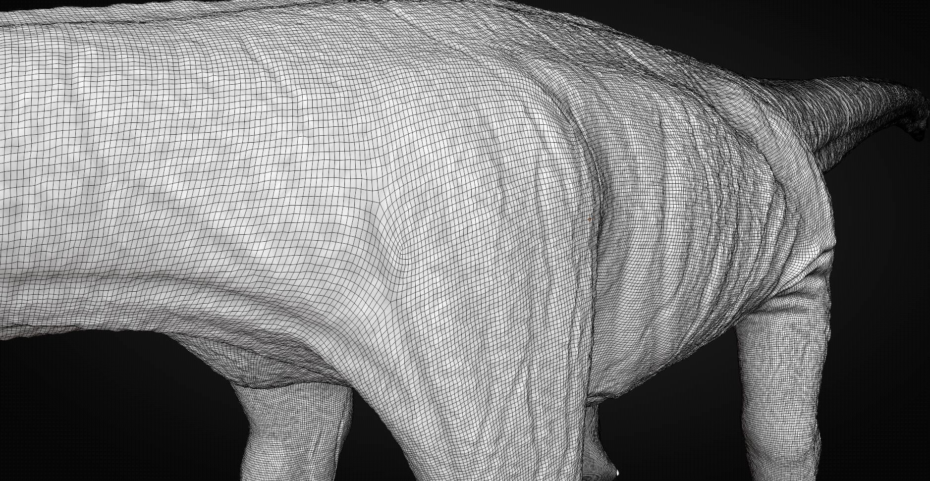 Titanosaurus Giant Lizard 3D model_14