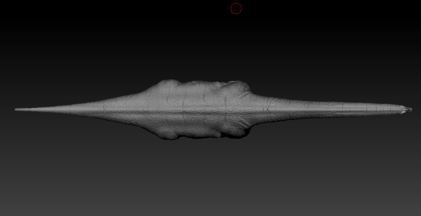 Titanosaurus Giant Lizard 3D model_5