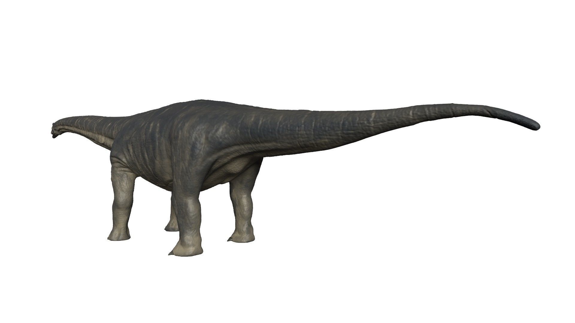 Titanosaurus Giant Lizard 3D model_2