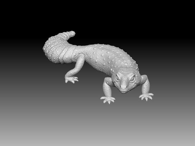 gecko 3d print  3D print model
