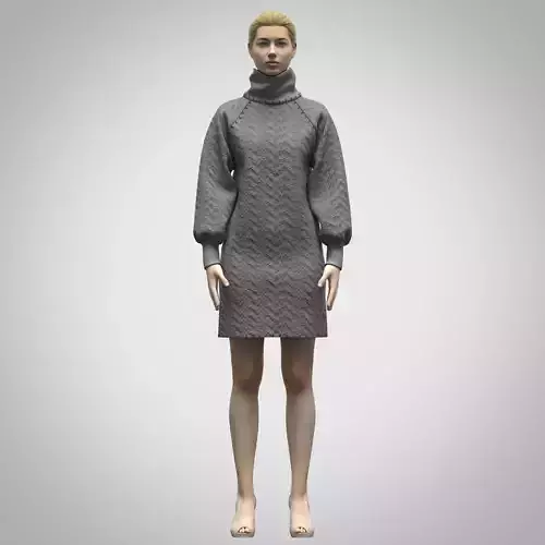 Womens Sweater Rigged 3d model Low-poly 3D model Womens Sweater Rigged 3d model Low-poly 3D model